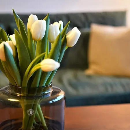 Beautiful 2 Bedroom With Free Wifi, Parking & Ac Apartamento